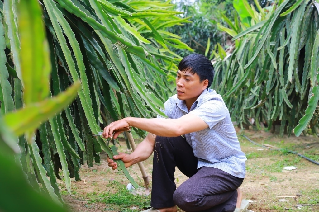 Quang-Ninh-ngheo-2-2-1-1-1 - Vietnam.vn