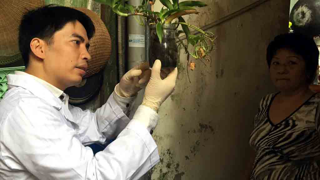 'Săn' muỗi ngừa dịch bệnh- Ảnh 1. 'Săn' muỗi ngừa dịch bệnh- Ảnh 1.