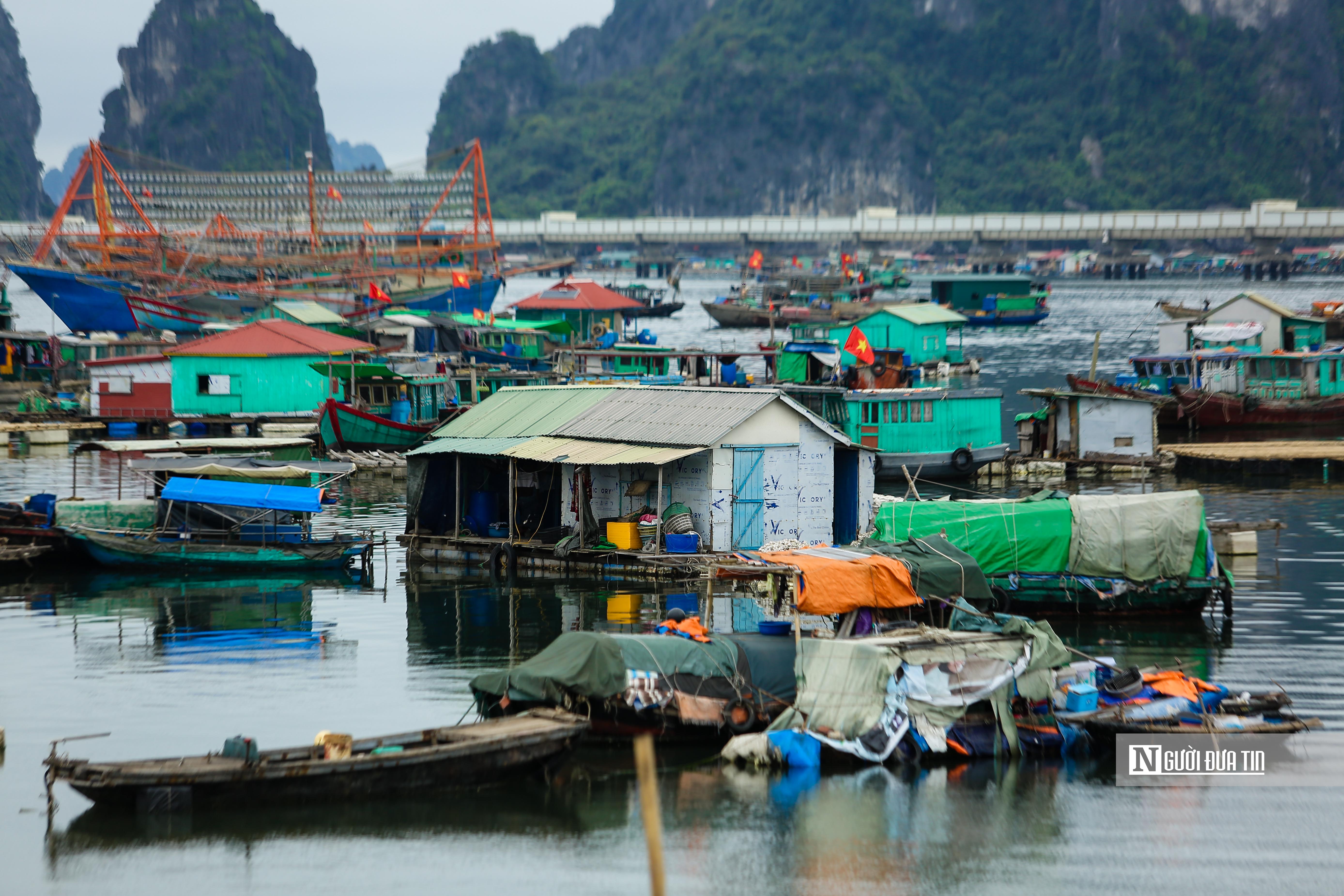 Chính sách - Thành lập Ban chỉ đạo gỡ cảnh báo “thẻ vàng' IUU