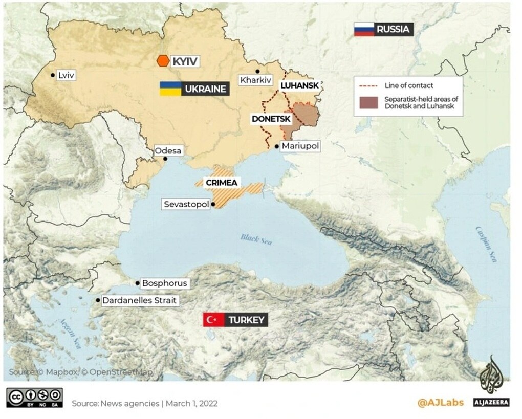 Thổ Nhĩ Kỳ tuyên bố chặn tàu hải quân Anh viện trợ Ukraine tới Biển Đen - 2