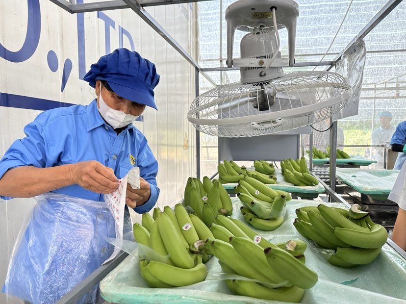 Trung Quốc chi 3,6 tỉ USD mua rau quả Việt Nam- Ảnh 1.