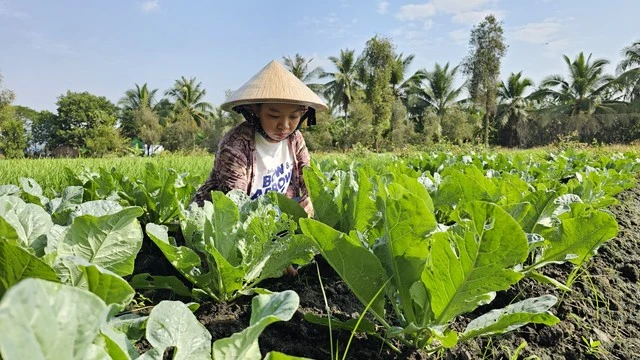 Nữ cử nhân tình nguyện lên đường bảo vệ Tổ quốc- Ảnh 2. Nữ cử nhân tình nguyện lên đường bảo vệ Tổ quốc- Ảnh 2.