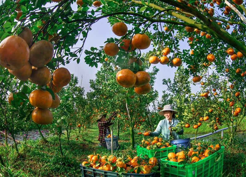 anh3-giai-3-2 - Vietnam.vn Sự kiện - “Bay lên Việt Nam” và loạt ảnh ấn tượng tại “Việt Nam hạnh phúc 2023' (Hình 3).