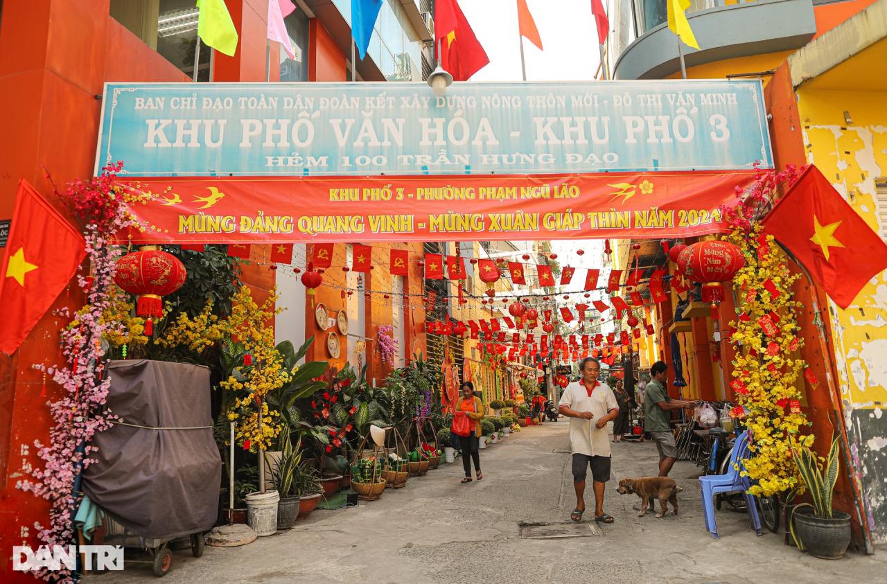 Sắc xuân tràn ngập hẻm nhỏ TPHCM những ngày giáp Tết - 2 Sắc xuân tràn ngập hẻm nhỏ TPHCM những ngày giáp Tết - 2