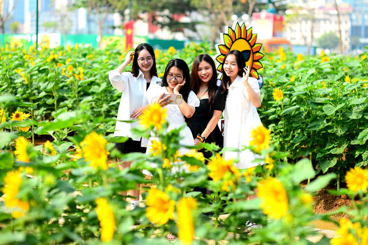Nhóm bạn trẻ chụp ảnh lưu niệm tại cánh đồng hoa hướng dương bờ sông Sài Gòn, TP Thủ Đức, TP.HCM vào sáng 31-12 - Ảnh: QUANG ĐỊNH Nhóm bạn trẻ chụp ảnh lưu niệm tại cánh đồng hoa hướng dương bờ sông Sài Gòn, TP Thủ Đức, TP.HCM vào sáng 31-12-2013 - Ảnh: QUANG ĐỊNH