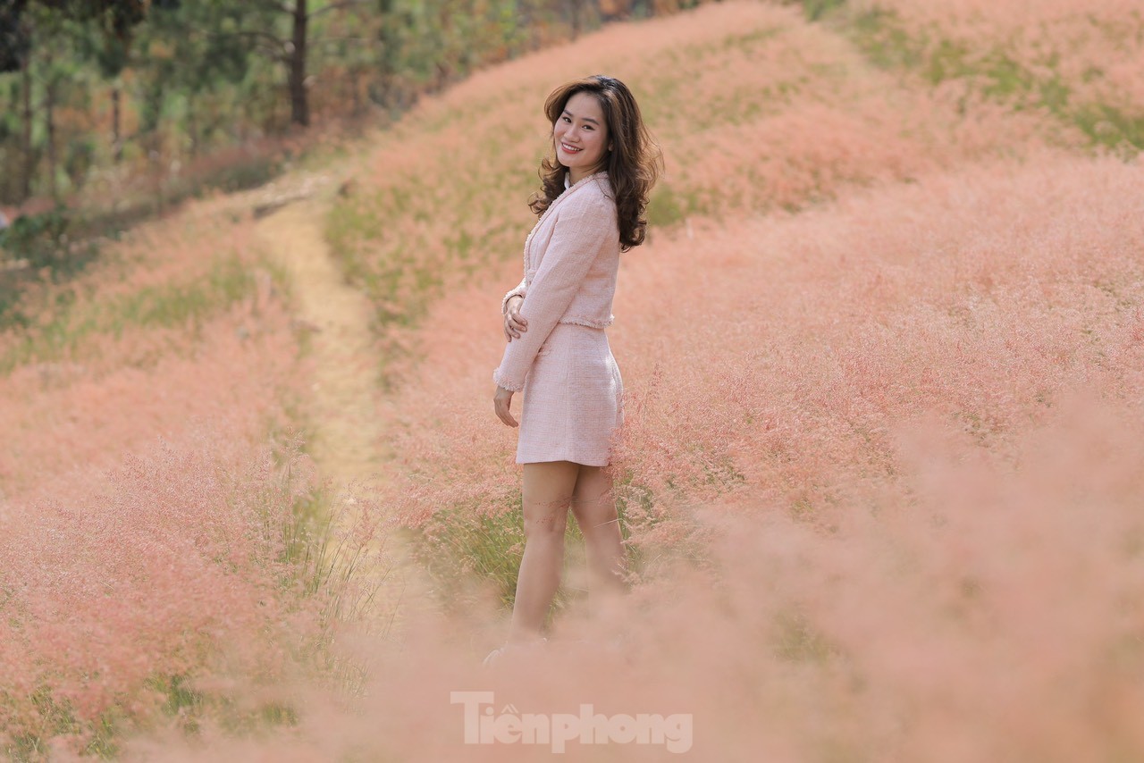 tp-co-hong-22-9481-3 - Vietnam.vn Mãn nhãn với đồi cỏ hồng Đà Lạt đẹp như cổ tích ảnh 8