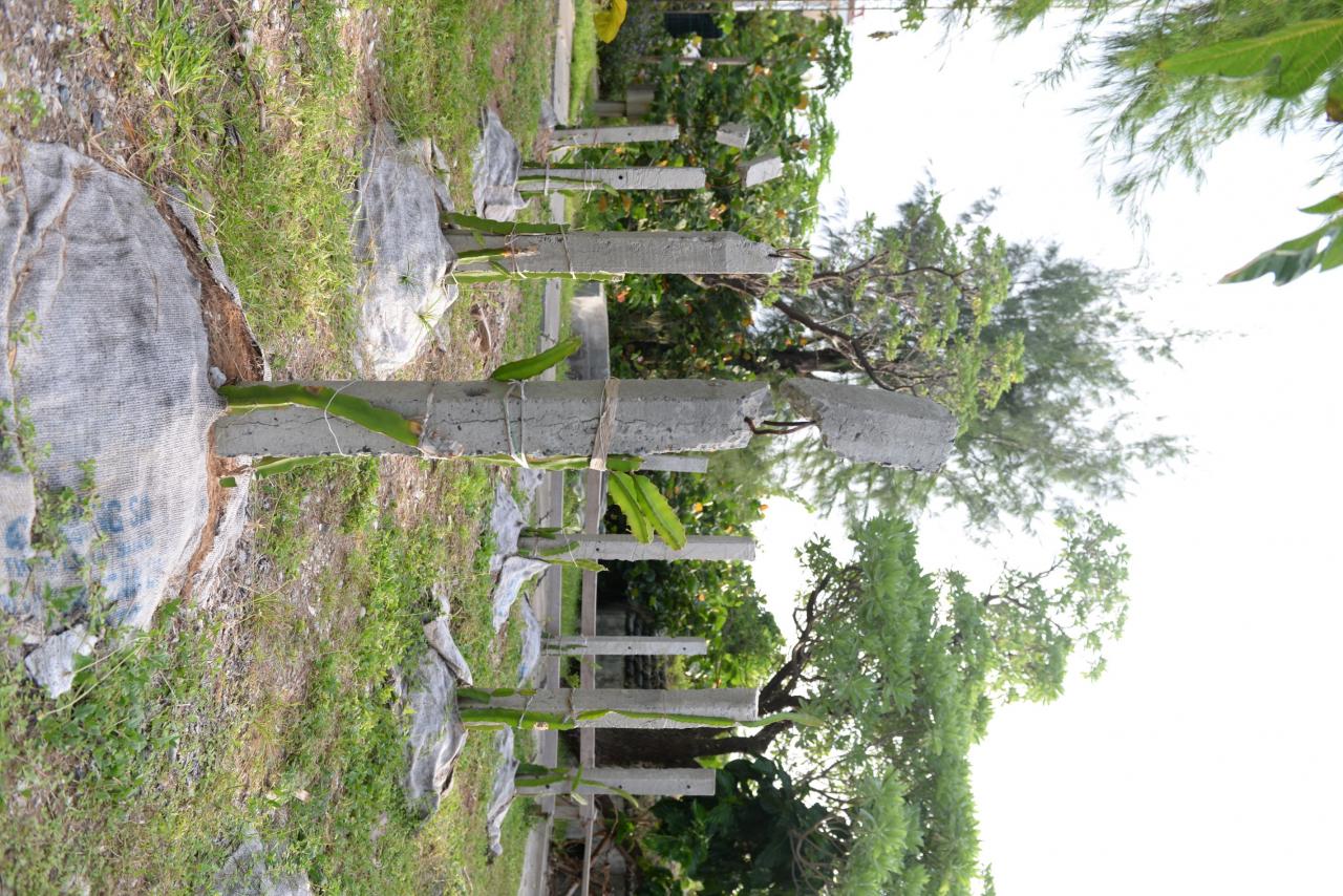 04-4 - Vietnam.vn Mầm xanh Trường Sa