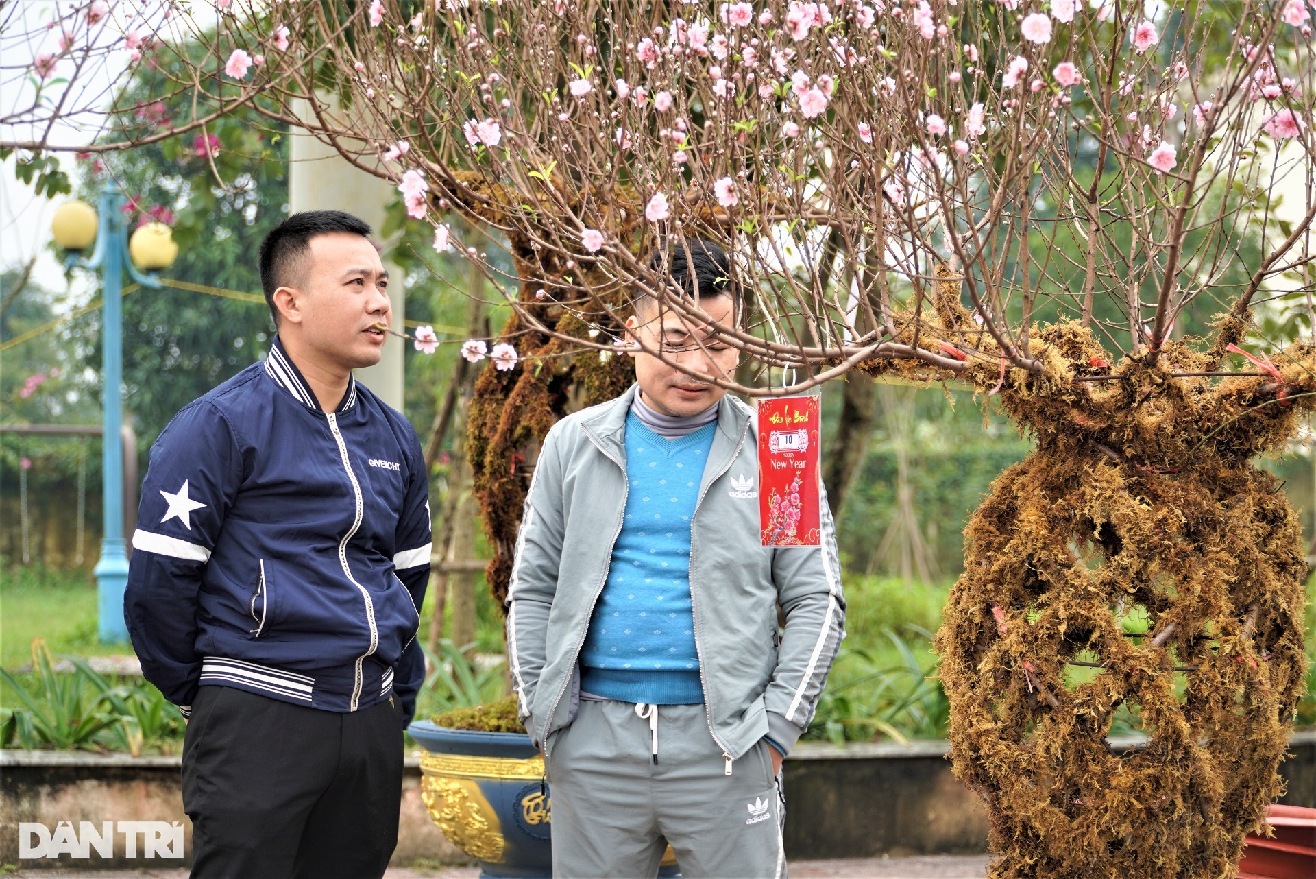 Đào lộc bình độc lạ giá trên dưới 10 triệu đồng ra mắt Tết Giáp Thìn 2024 - 11 Đào lộc bình độc lạ giá trên dưới 10 triệu đồng ra mắt Tết Giáp Thìn 2024 - 11