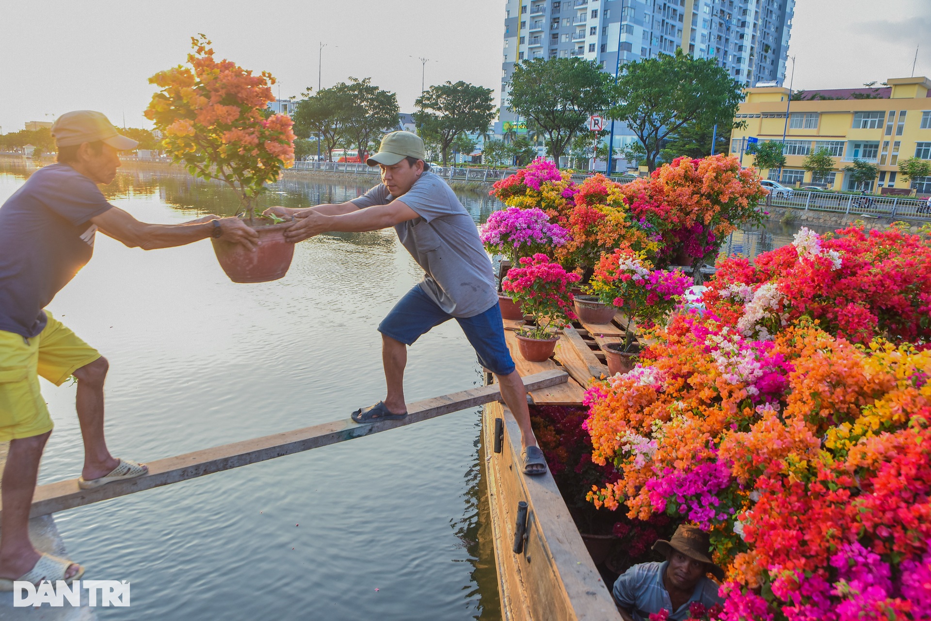 Những chiếc ghe miền Tây mang Tết đến TPHCM - 3 Những chiếc ghe miền Tây mang Tết đến TPHCM - 3