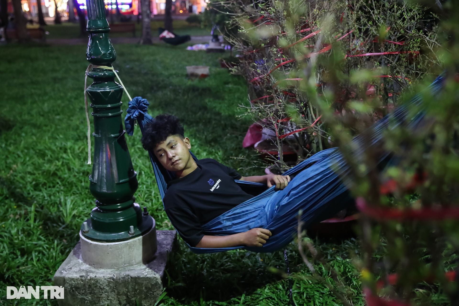 Tiểu thương mắc màn, đốt lửa đuổi muỗi xuyên đêm trông hoa Tết ở TPHCM - 4 Tiểu thương mắc màn, đốt lửa đuổi muỗi xuyên đêm trông hoa Tết ở TPHCM - 4