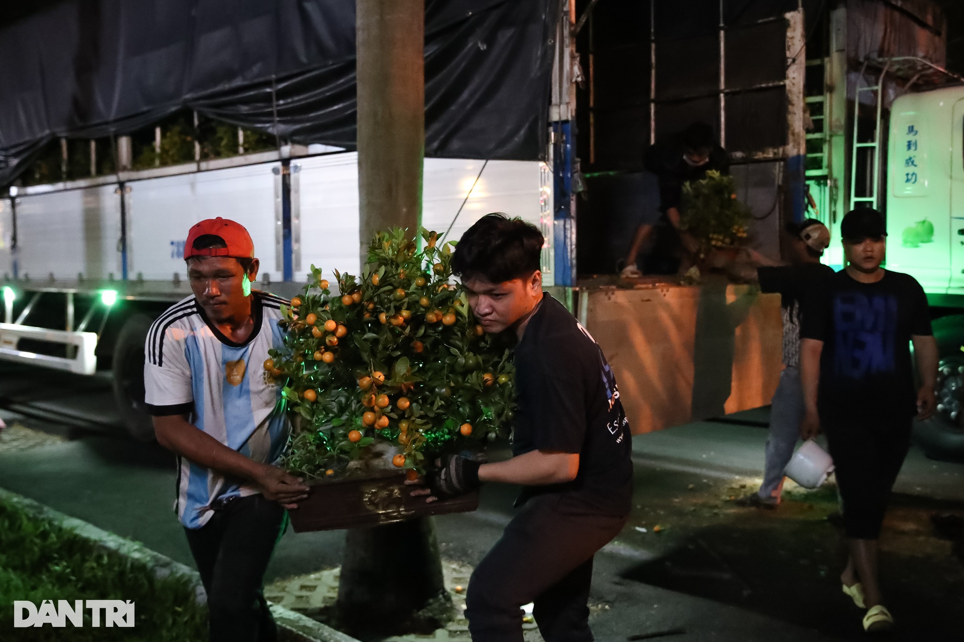 Tiểu thương mắc màn, đốt lửa đuổi muỗi xuyên đêm trông hoa Tết ở TPHCM - 7 Tiểu thương mắc màn, đốt lửa đuổi muỗi xuyên đêm trông hoa Tết ở TPHCM - 7