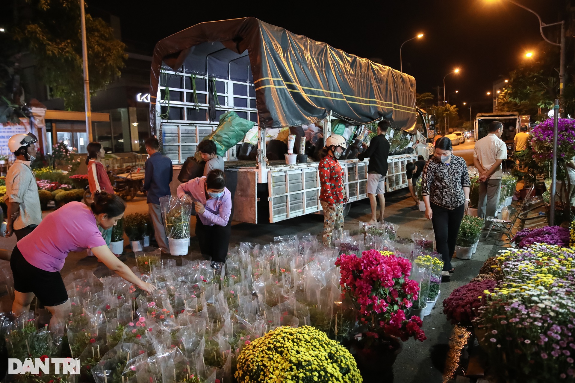 Tiểu thương mắc màn, đốt lửa đuổi muỗi xuyên đêm trông hoa Tết ở TPHCM - 12 Tiểu thương mắc màn, đốt lửa đuổi muỗi xuyên đêm trông hoa Tết ở TPHCM - 12