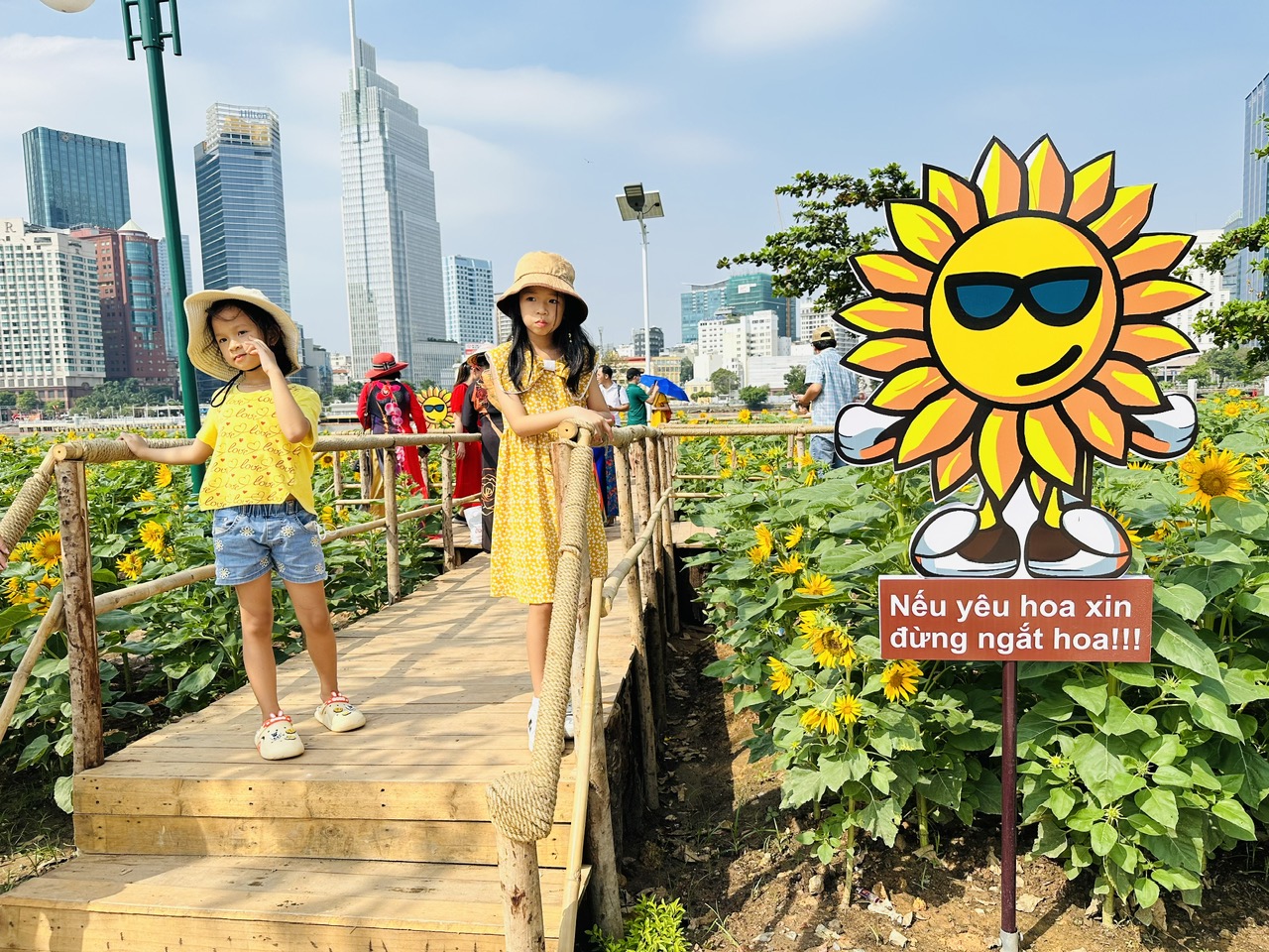 Người dân đội nắng check-in vườn hướng dương đẹp nhất Sài Gòn- Ảnh 6. Người dân đội nắng check-in vườn hướng dương đẹp nhất Sài Gòn- Ảnh 6.
