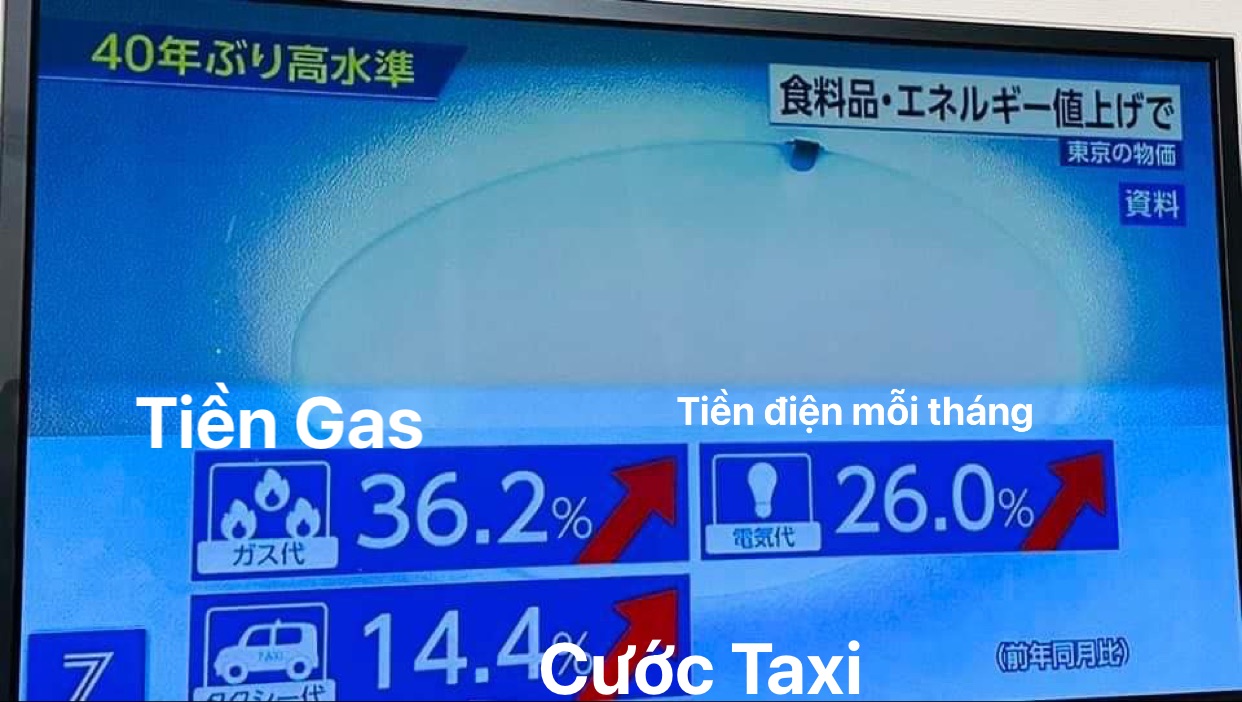 Người Việt ở nước ngoài gói ghém Tết xa - Ảnh 8. Người Việt ở nước ngoài gói ghém Tết xa - Ảnh 8.