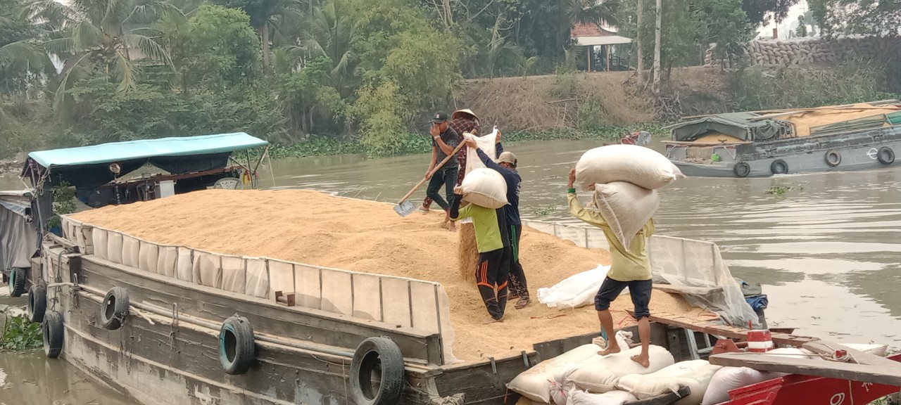 Triển khai đề án một triệu ha lúa chất lượng cao, phát thải thấp - Ảnh 3. Triển khai đề án một triệu ha lúa chất lượng cao, phát thải thấp - Ảnh 3.