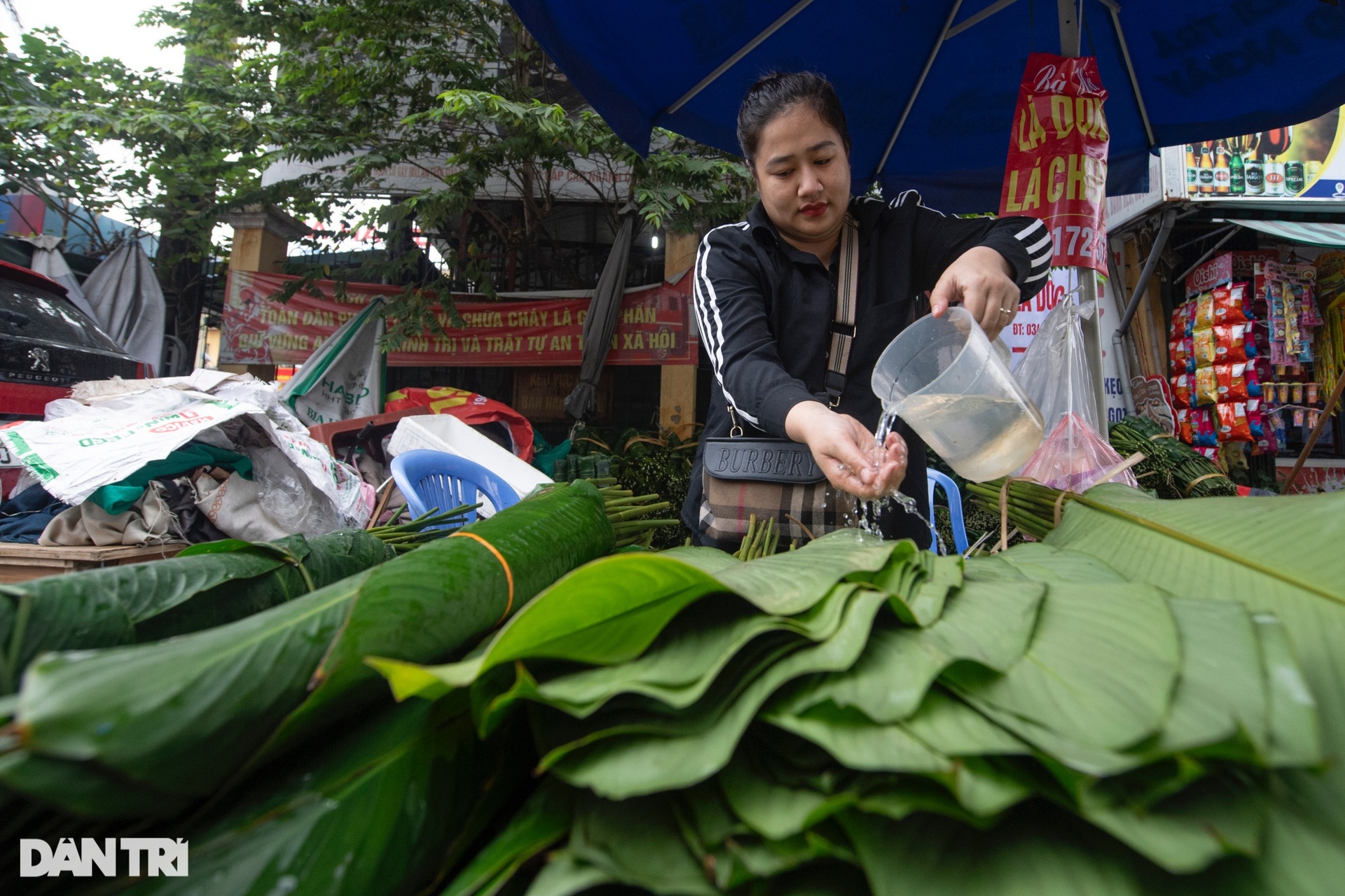 Lá dong đắt gấp 3, người dân vẫn phấn khởi mua gói bánh chưng - 2 Lá dong đắt gấp 3, người dân vẫn phấn khởi mua gói bánh chưng - 2