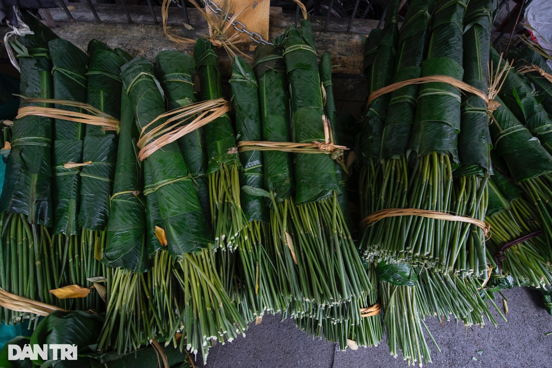 Lá dong đắt gấp 3, người dân vẫn phấn khởi mua gói bánh chưng - 4 Lá dong đắt gấp 3, người dân vẫn phấn khởi mua gói bánh chưng - 4