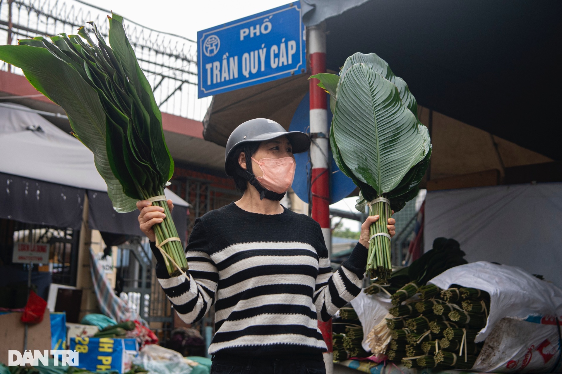 Lá dong đắt gấp 3, người dân vẫn phấn khởi mua gói bánh chưng - 10 Lá dong đắt gấp 3, người dân vẫn phấn khởi mua gói bánh chưng - 10