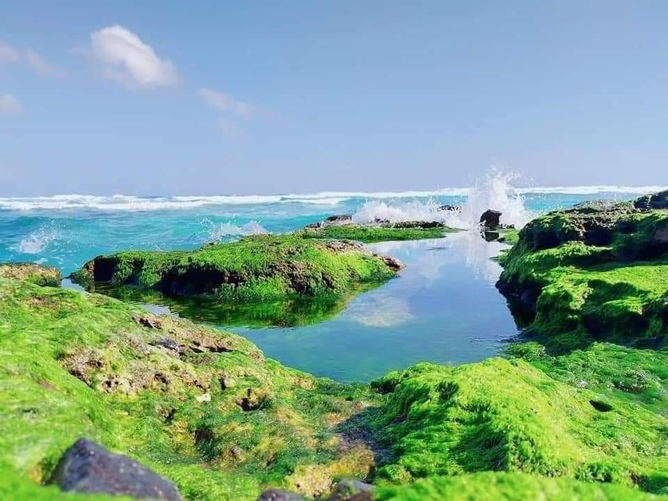 Đắm say bên thiên đường du lịch Lý Sơn - Ảnh 8. Đắm say bên thiên đường du lịch Lý Sơn - Ảnh 8.