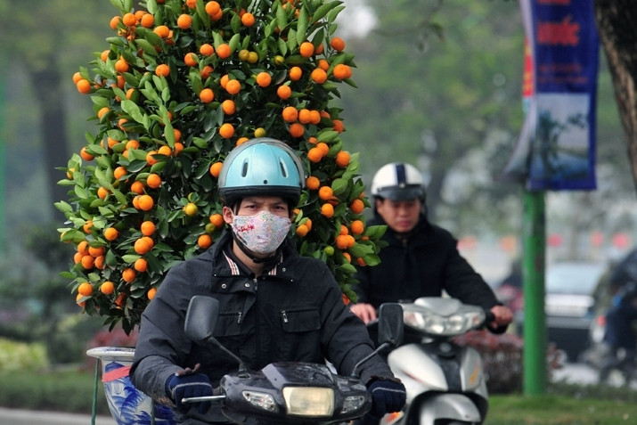 Miền Bắc đón liên tiếp 2 đợt không khí lạnh trước Tết Nguyên đán