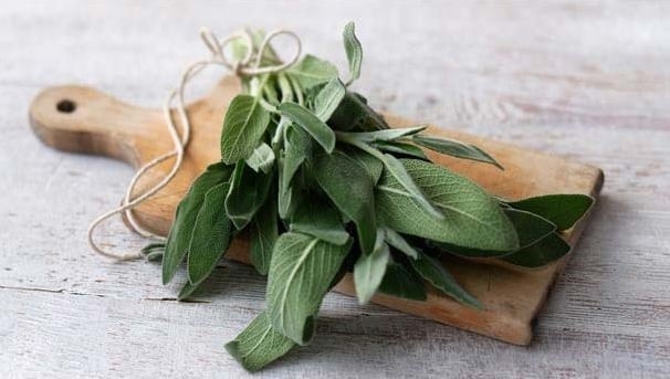 Loại trà quen thuộc giúp giảm viêm họng và ho không phải ai cũng biết - Ảnh 5. Loại trà quen thuộc giúp giảm viêm họng và ho không phải ai cũng biết - Ảnh 5.