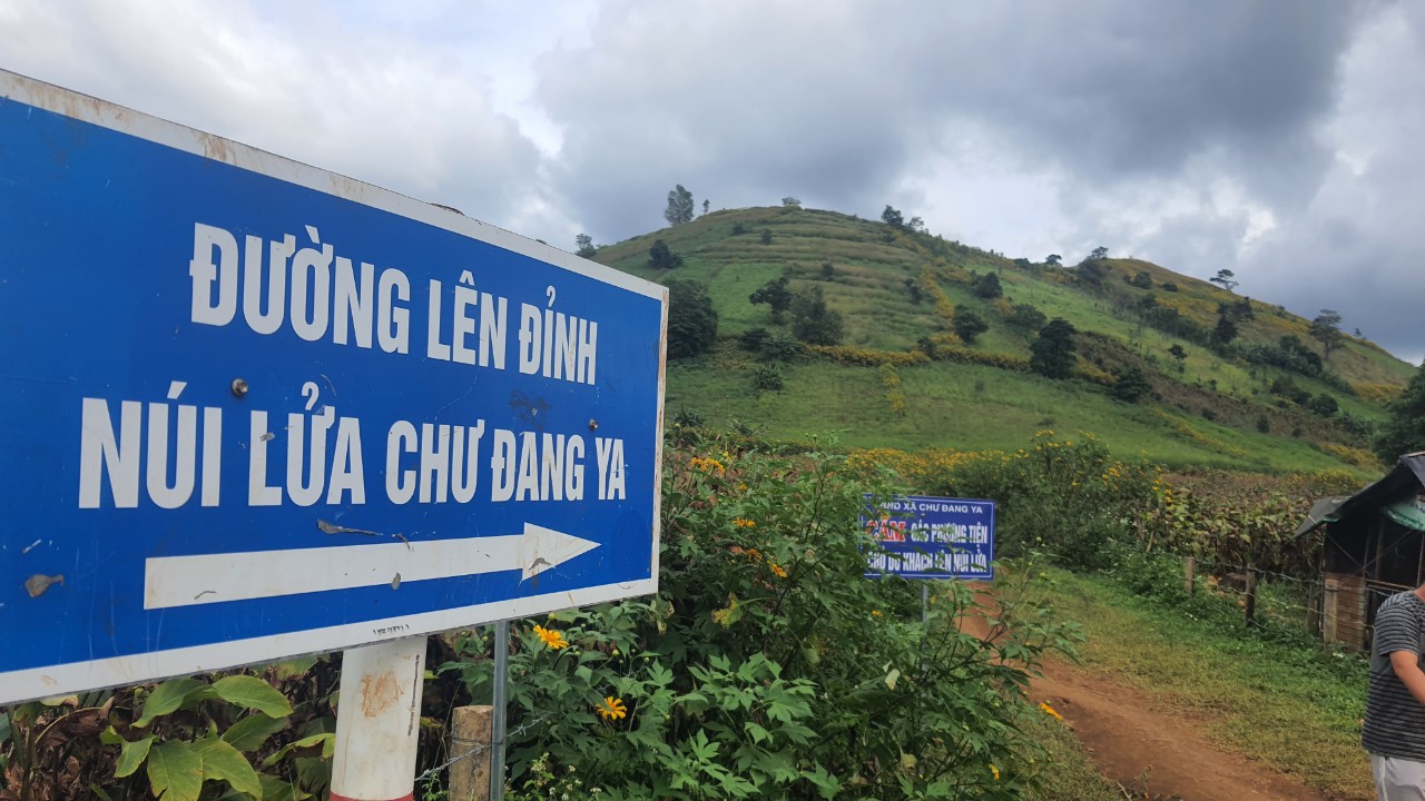 Ngất ngây với triệu đóa Dã Quỳ trên đỉnh Chư Đăng Ya - Ảnh 5. Ngất ngây với triệu đóa Dã Quỳ trên đỉnh Chư Đăng Ya - Ảnh 5.