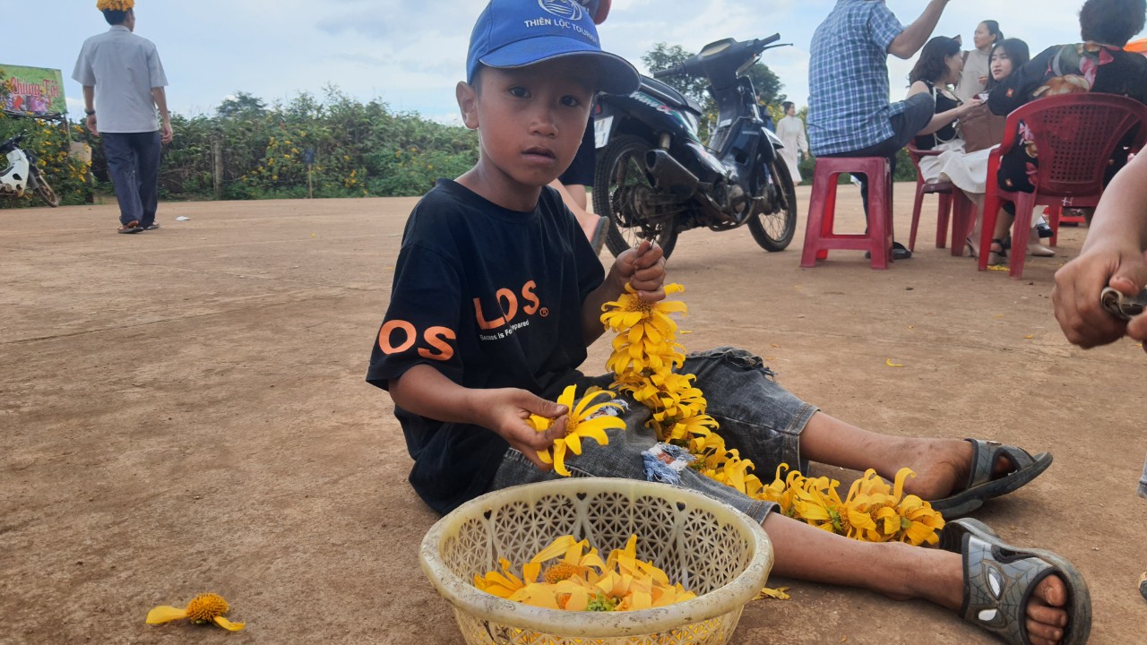 Ngất ngây với triệu đóa Dã Quỳ trên đỉnh Chư Đăng Ya - Ảnh 12.