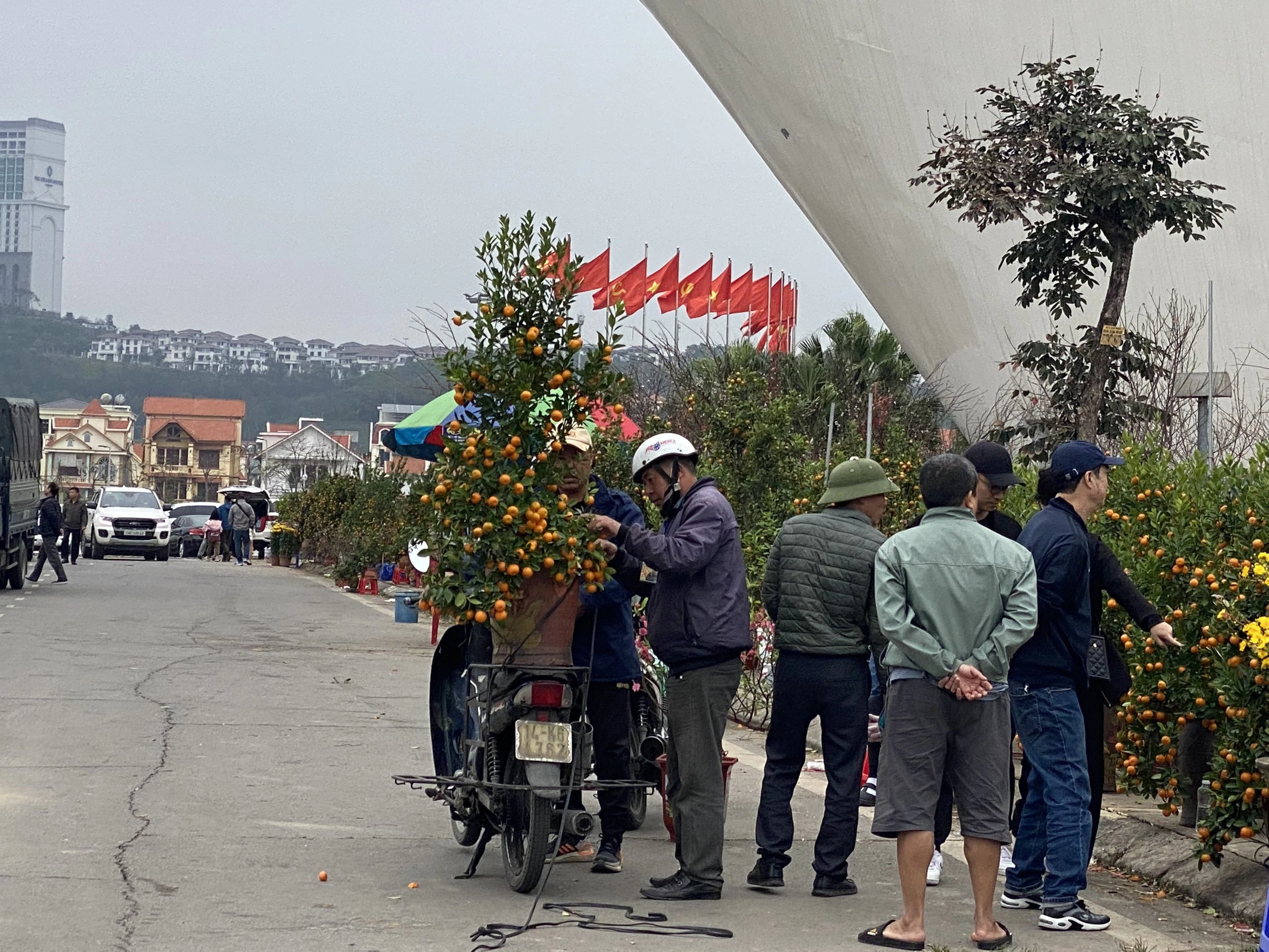 Những chuyến xe chở Những chuyến xe chở