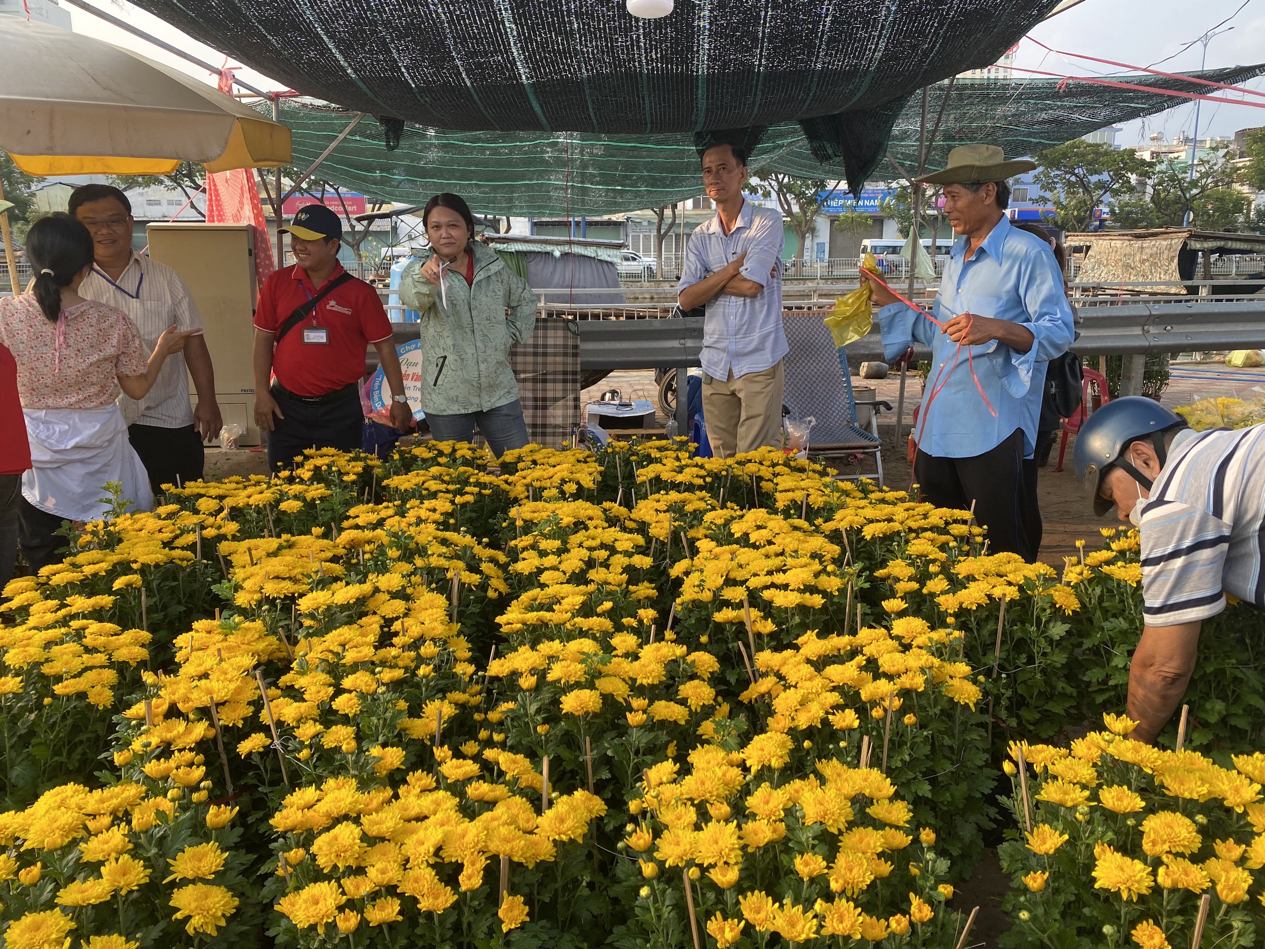 Tránh cảnh đập bỏ hoa, TP HCM mua hơn 9.000 chậu hoa Tết của tiểu thương- Ảnh 2. Tránh cảnh đập bỏ hoa, TP HCM mua hơn 9.000 chậu hoa Tết của tiểu thương- Ảnh 2.