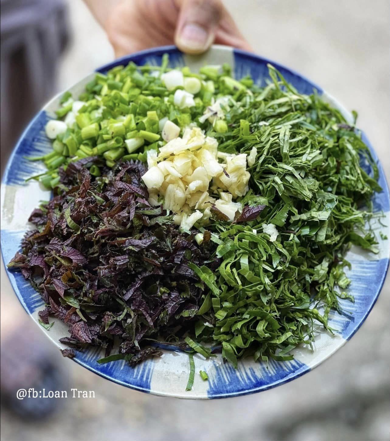 Loại cá toàn nhớt trông thì sợ nhưng là thực phẩm quý "ông ăn bà vui" - Ảnh 3. Loại cá toàn nhớt trông thì sợ nhưng là thực phẩm quý "ông ăn bà vui" - Ảnh 3.