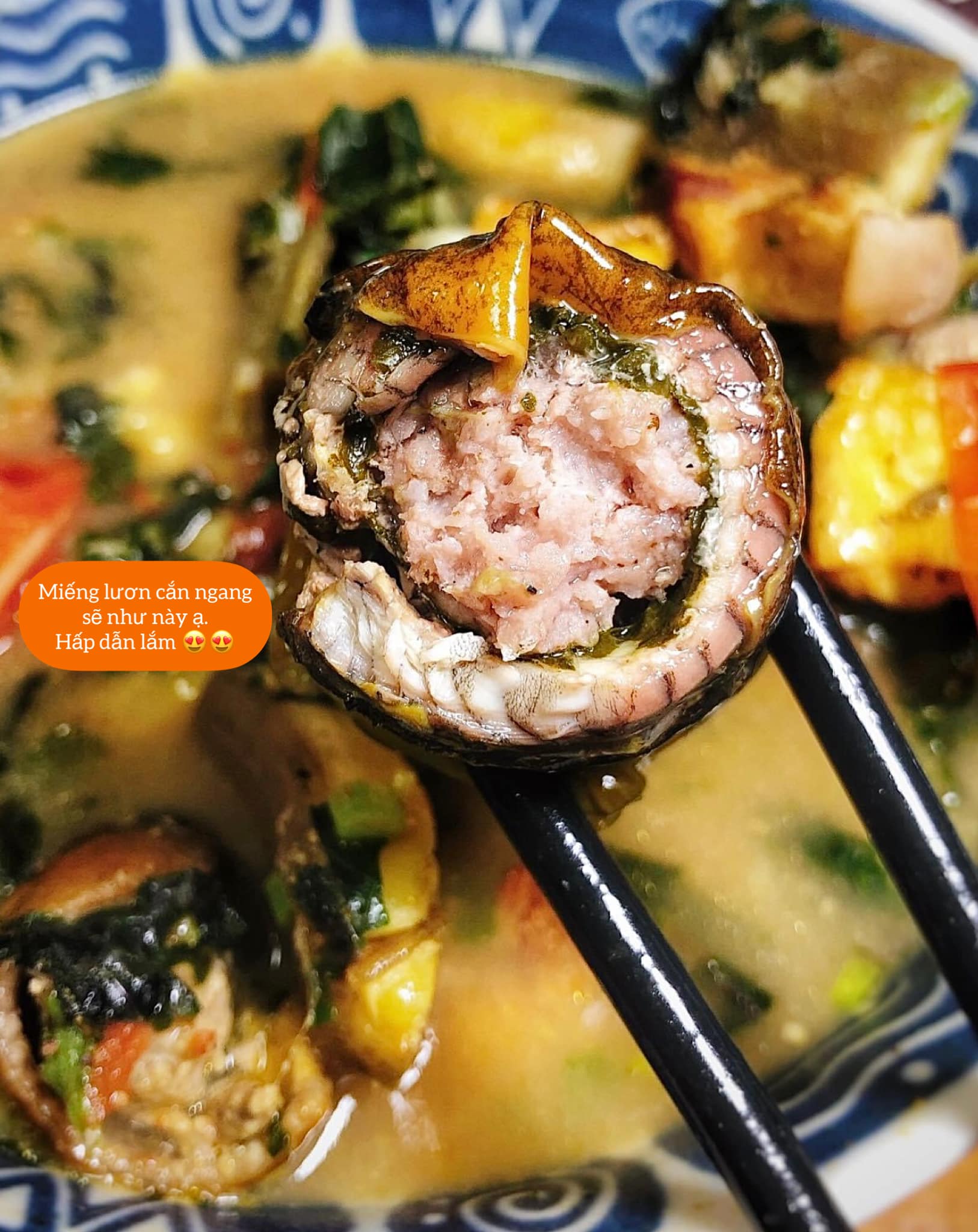Loại cá toàn nhớt trông thì sợ nhưng là thực phẩm quý "ông ăn bà vui" - Ảnh 6. Loại cá toàn nhớt trông thì sợ nhưng là thực phẩm quý "ông ăn bà vui" - Ảnh 6.