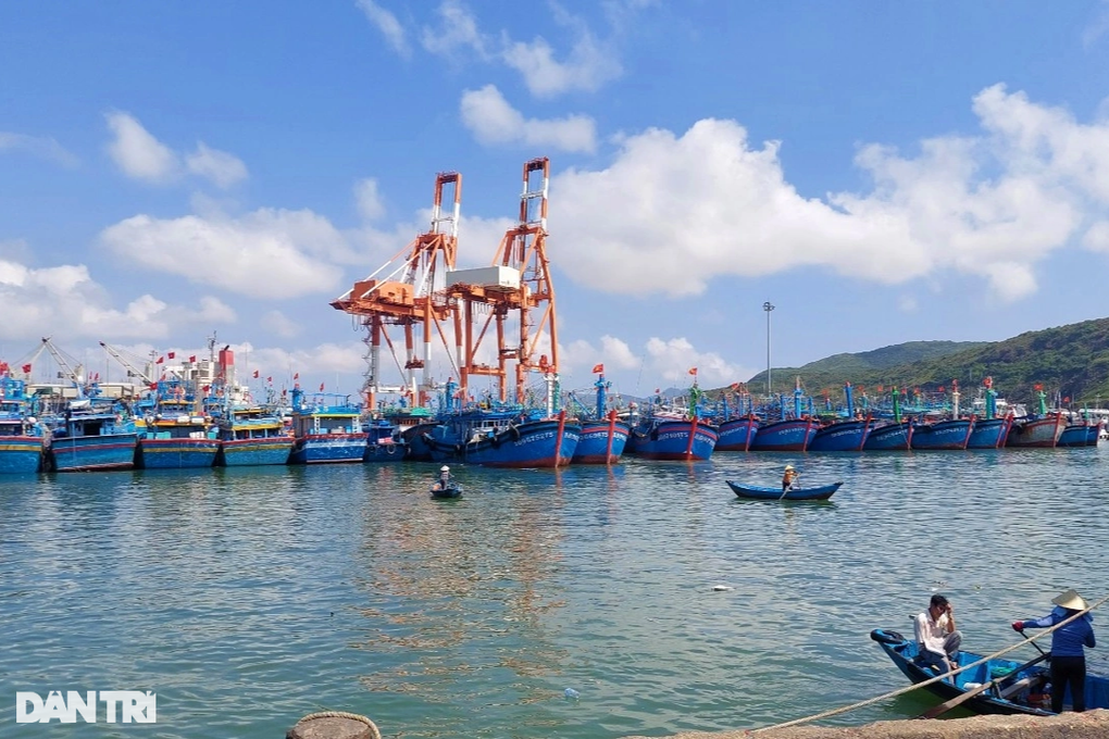 Trúng mẻ cá ngừ 30 tấn, thuyền viên chia nhau gần 1 tỷ đồng ăn Tết - 6 Trúng mẻ cá ngừ 30 tấn, thuyền viên chia nhau gần 1 tỷ đồng ăn Tết - 6