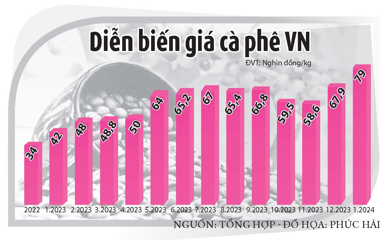 Cà phê Việt 'vẽ' lại thị trường thế giới- Ảnh 3. Cà phê Việt 'vẽ' lại thị trường thế giới- Ảnh 3.
