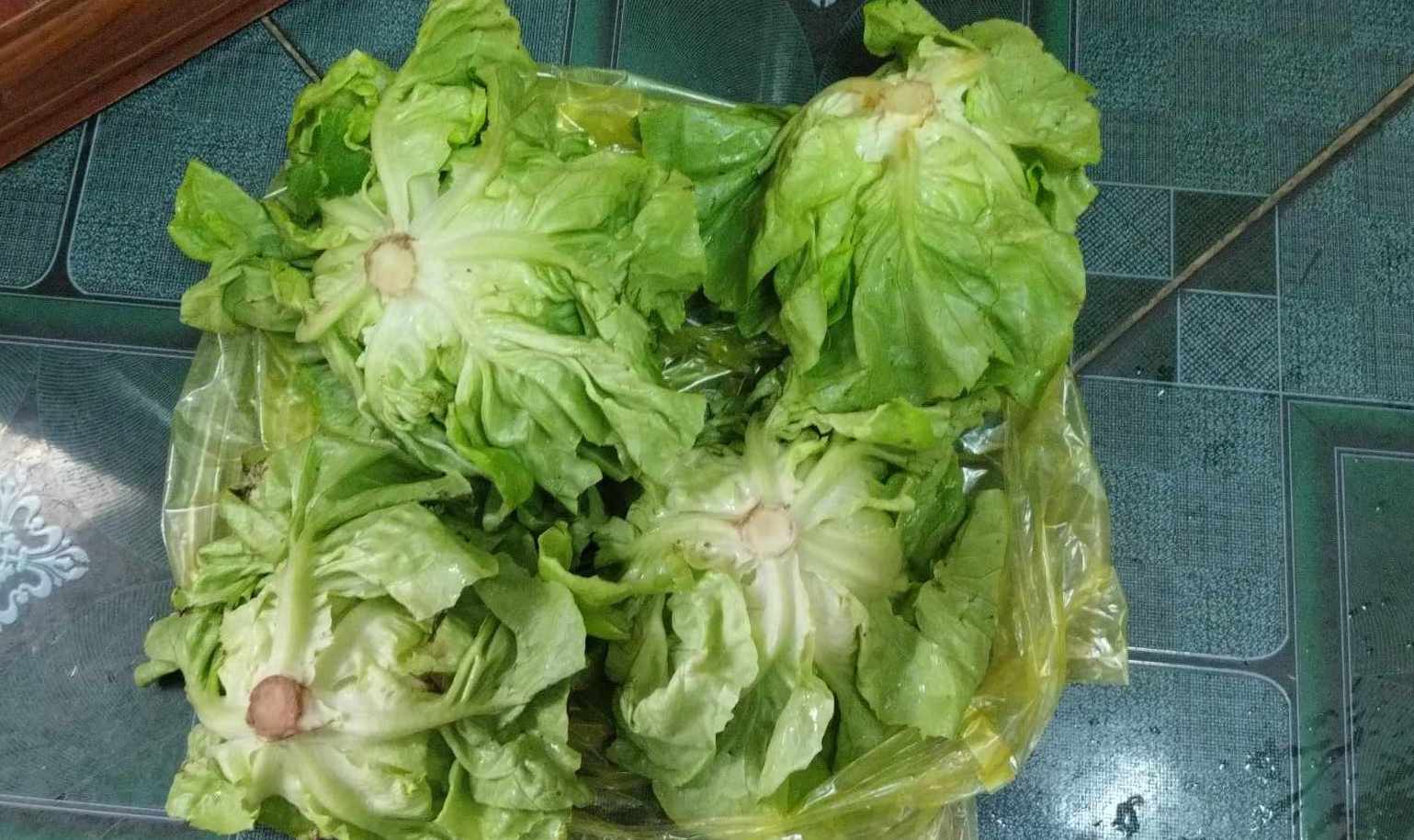 3 lạng xà lách có giá 20.000 đồng, đắt hơn so với ngày thường.