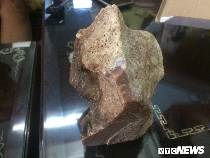 Những lần ngư dân Việt vô tình bắt được 'vàng nổi' trị giá tiền tỷ - 2