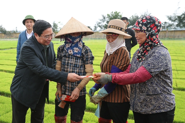 Đầu năm mới, Thủ tướng cùng nông dân cấy lúa, thu hoạch cà rốt- Ảnh 3. Đầu năm mới, Thủ tướng cùng nông dân cấy lúa, thu hoạch cà rốt- Ảnh 3.