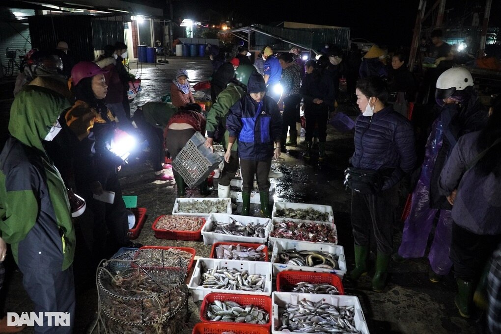 Ngư dân trúng đậm lộc biển, chợ cá nhộn nhịp từ 3h sáng - 4