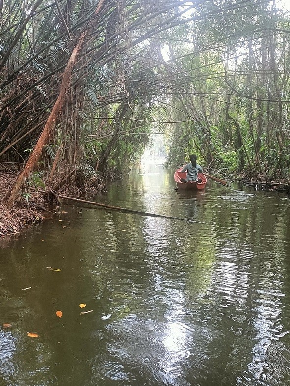 Còn ta với nồng nàn hương vị thiên hiên của Điểm Tham quan Khu Bảo tồn sinh thái Đồng Tháp Mười