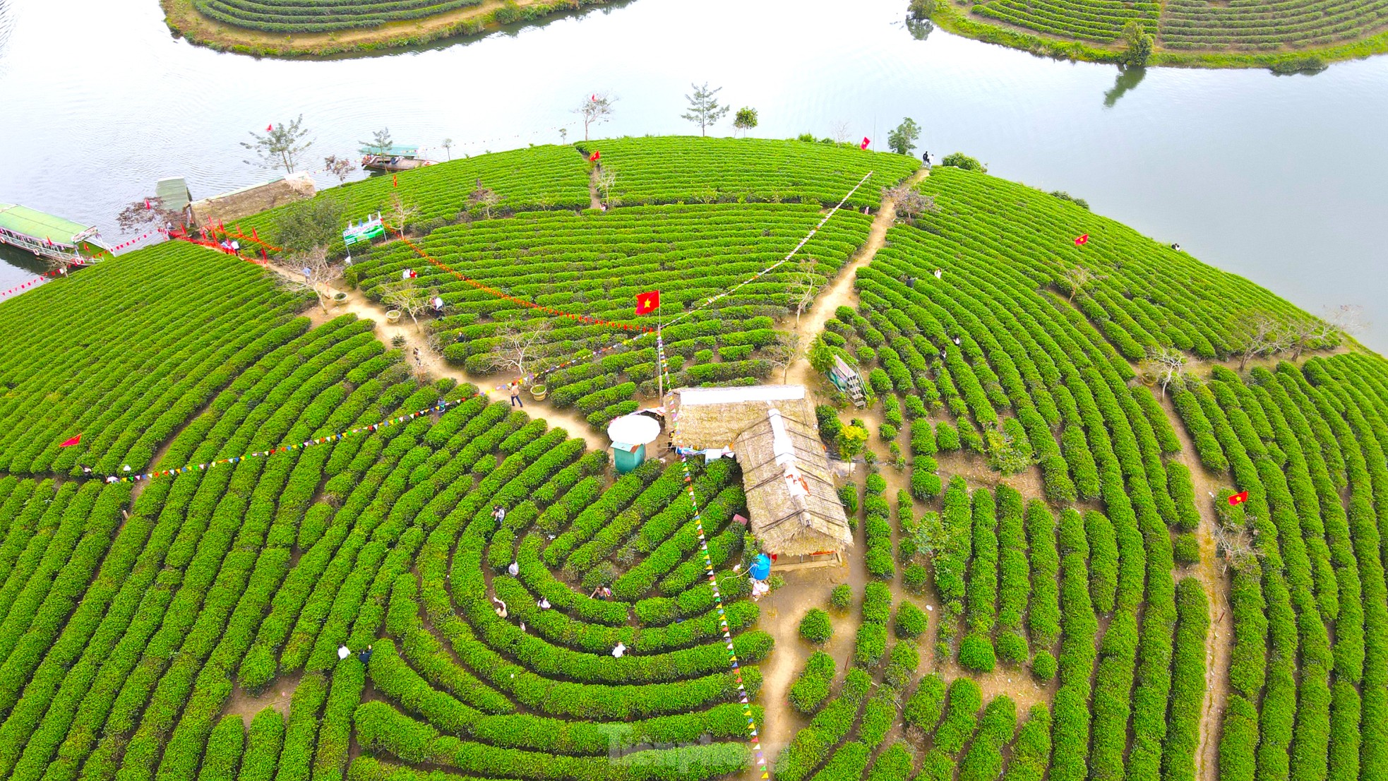 Giới trẻ nườm nượp đến check in 'Vịnh Hạ Long xứ Nghệ' ảnh 3