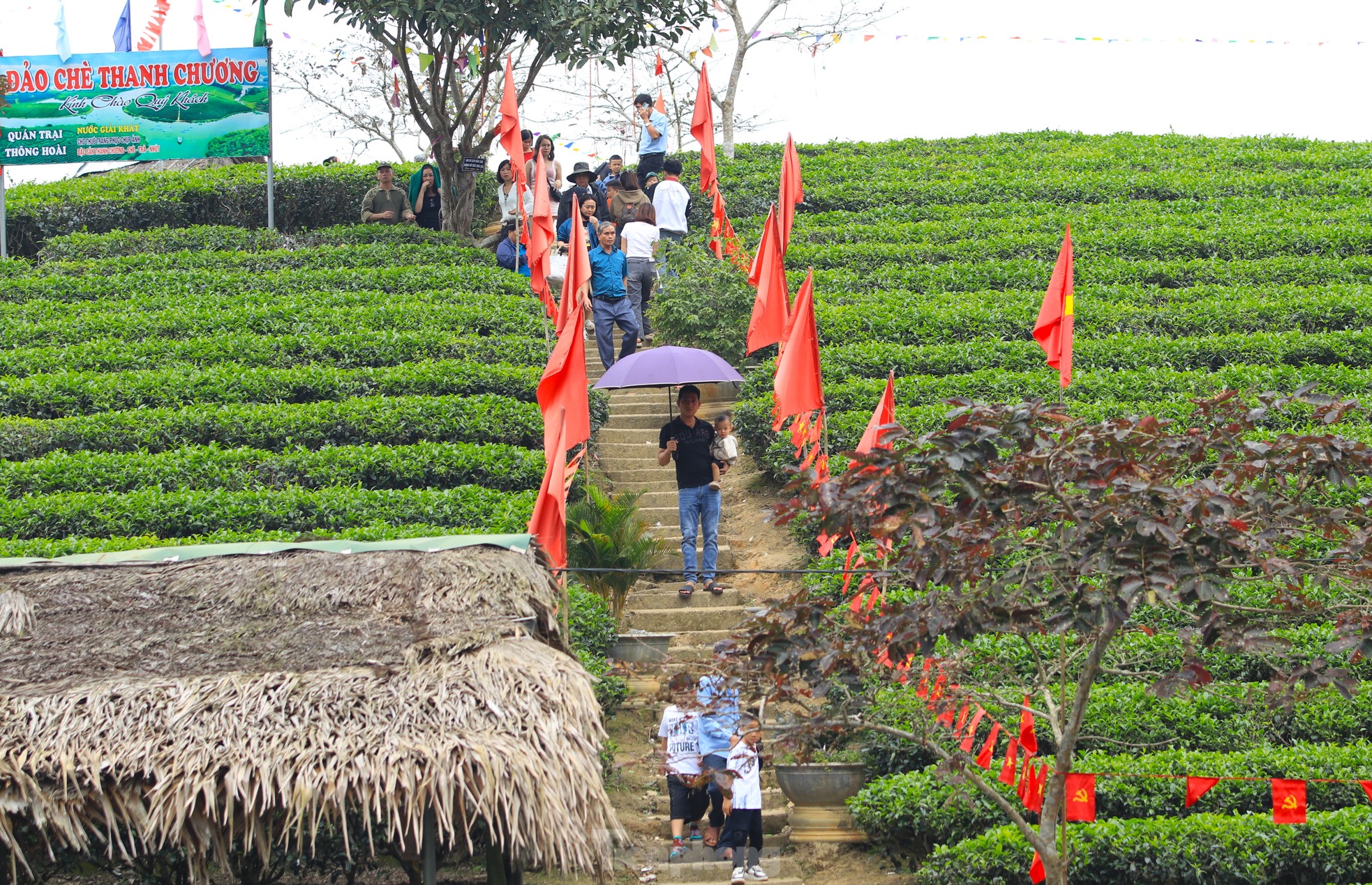 Giới trẻ nườm nượp đến check in 'Vịnh Hạ Long xứ Nghệ' ảnh 7