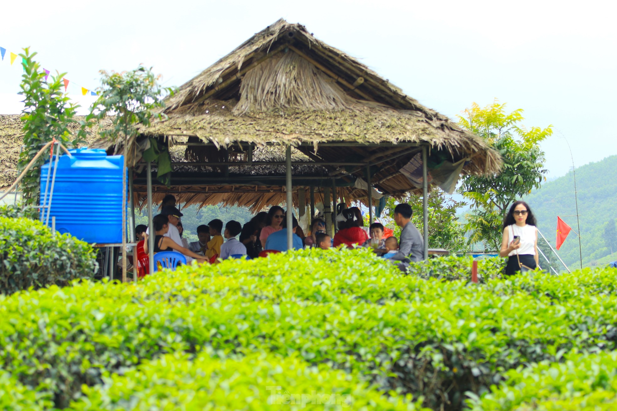 Giới trẻ nườm nượp đến check in 'Vịnh Hạ Long xứ Nghệ' ảnh 19