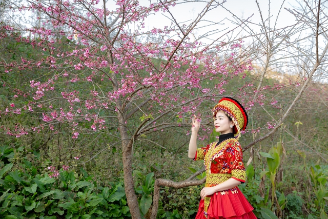 Sa Pa: Sun World Fansipan Legend miễn phí vé tàu hỏa Mường Hoa cho 5 tỉnh phía Bắc - Ảnh 4. Sa Pa: Sun World Fansipan Legend miễn phí vé tàu hỏa Mường Hoa cho 5 tỉnh phía Bắc - Ảnh 4.