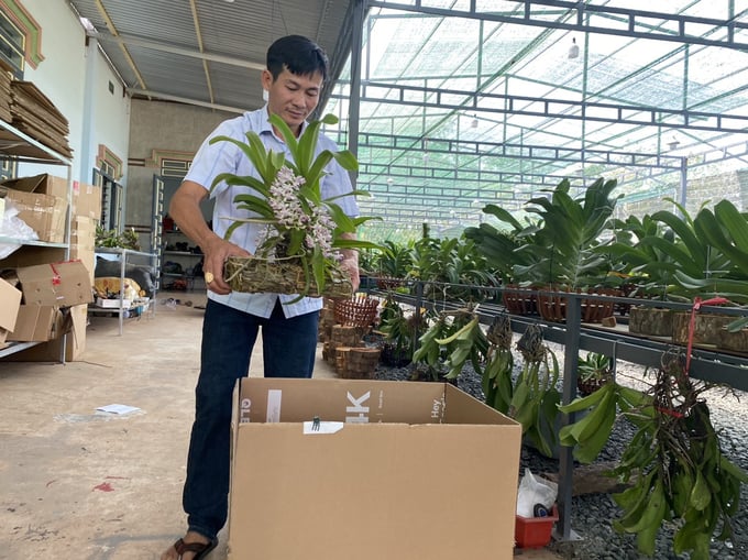 ae796aa14c04e65abf154-122413_426.jpg Anh Hùng chuẩn bị lan Ngọc Điểm giao cho khách. Ảnh: Trần Trung.