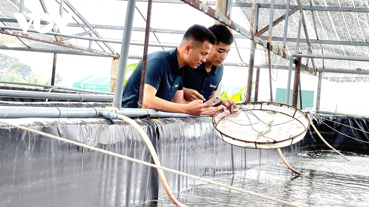 chàng kỹ sư it bỏ phố về quê làm phần mềm giúp nông dân quản lý trang trại 4.0 hình ảnh 3 chang ky su it bo pho ve que lam phan mem giup nong dan quan ly trang trai 4.0 hinh anh 3