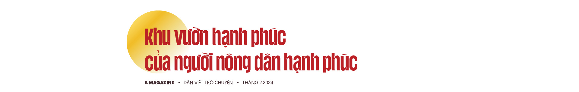 Nông dân Việt Nam xuất sắc Nguyễn Văn Hữu: "Cãi" cả họ phá vải thiều trồng bưởi và khu vườn hạnh phúc- Ảnh 6. Nông dân Việt Nam xuất sắc Nguyễn Văn Hữu: "Cãi" cả họ phá vải thiều trồng bưởi và khu vườn hạnh phúc- Ảnh 6.