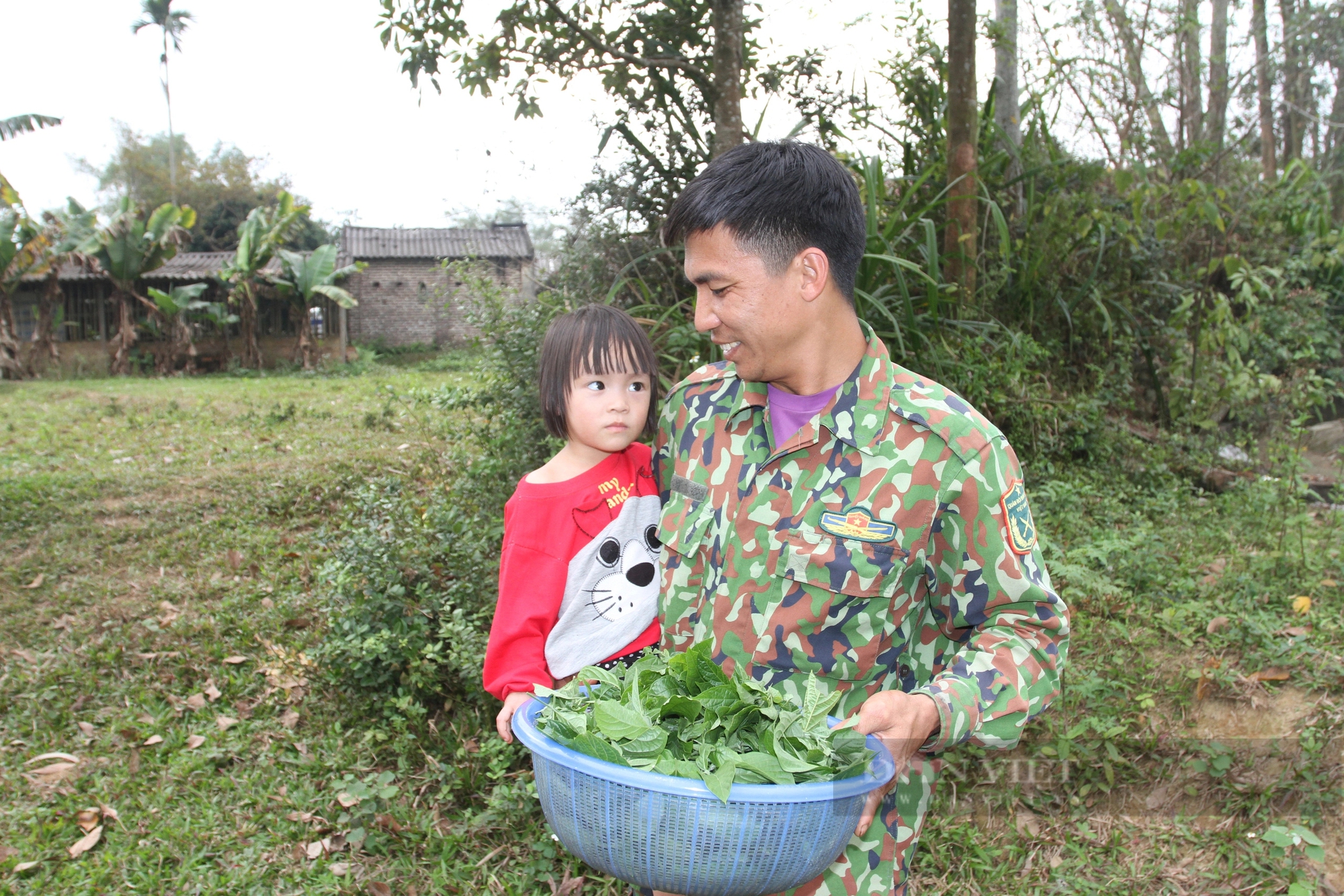 Loại rau dại nhai đắng gắt nay là đặc sản, già trẻ đi săn lùng ở Thái Nguyên, đó là rau gì?- Ảnh 3. Loại rau dại nhai đắng gắt nay là đặc sản, già trẻ đi săn lùng ở Thái Nguyên, đó là rau gì?- Ảnh 3.
