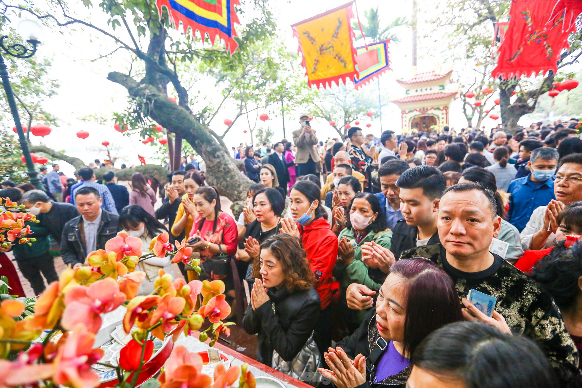 Thu phí trông giữ xe không dùng tiền mặt, hết cảnh chờ hàng giờ vào lễ Phủ Tây Hồ ngày Tết ảnh 3