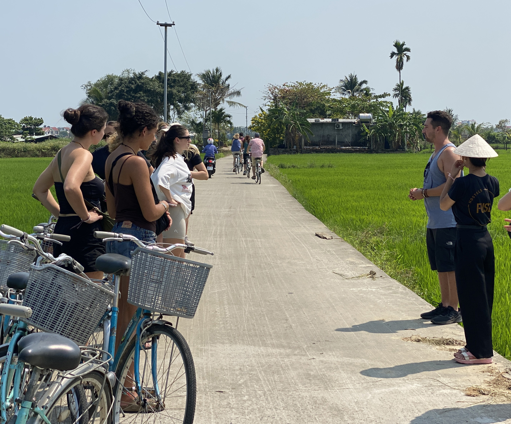 Khách dừng chân giữa đồng nghe hướng dẫn viên kể về ruộng lúa, tận hưởng mùi thơm ngào ngạt của lúa non - Ảnh: B.D.