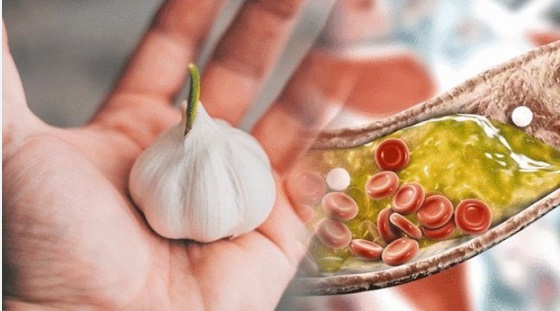 8 thực phẩm tự nhiên giúp giảm mỡ máu, người Việt nên ăn thường xuyên để phòng bệnh - Ảnh 3. 8 thực phẩm tự nhiên giúp giảm mỡ máu, người Việt nên ăn thường xuyên để phòng bệnh - Ảnh 3.