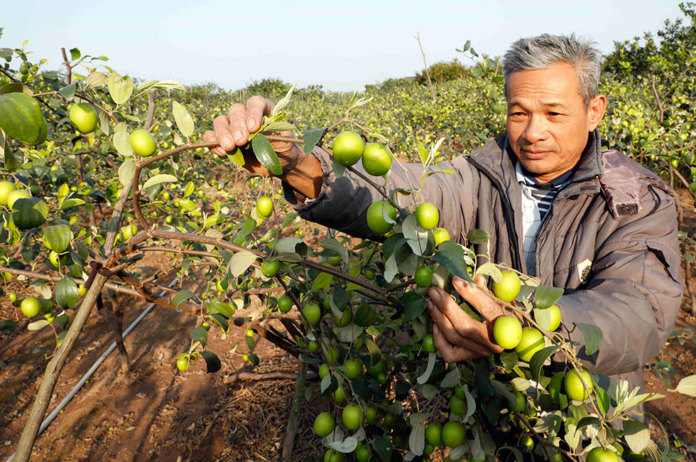 Mang mùa xuân đẹp giàu về với người dân Hưng Yên- Ảnh 5. Mang mùa xuân đẹp giàu về với người dân Hưng Yên- Ảnh 5.
